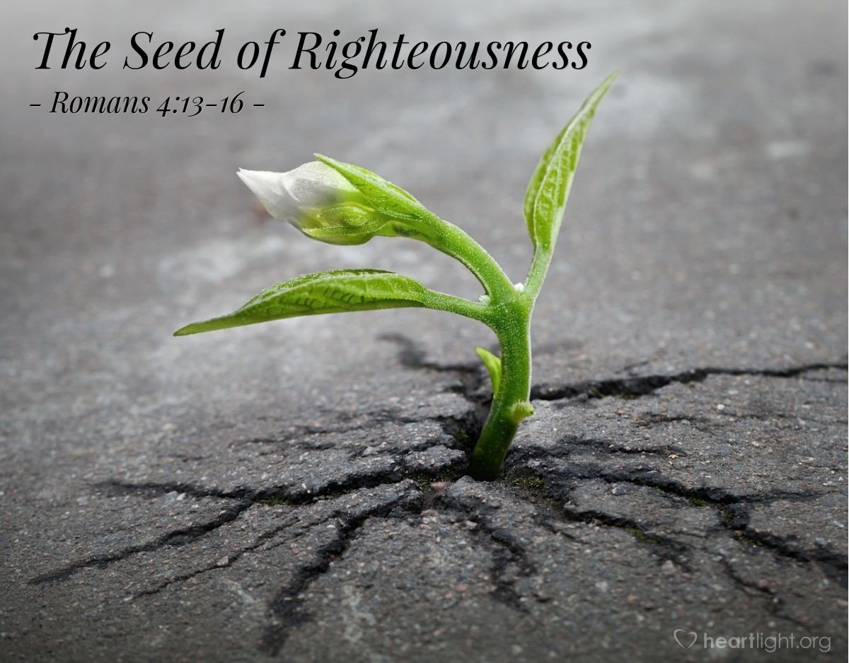 The Seed of Righteousness